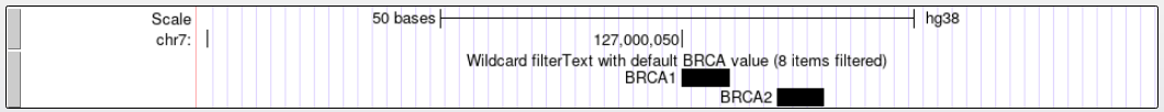 filterText filter enabled on bigBed