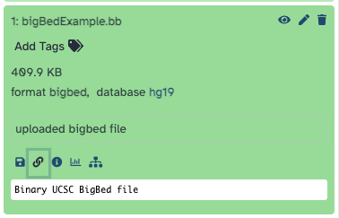 Galaxy interface showing how to copy a file URL for track hub use
