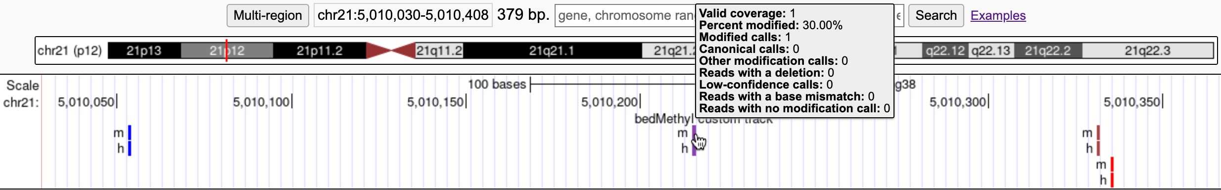 bedMethyl track showing DNA methylation levels colored from blue to red