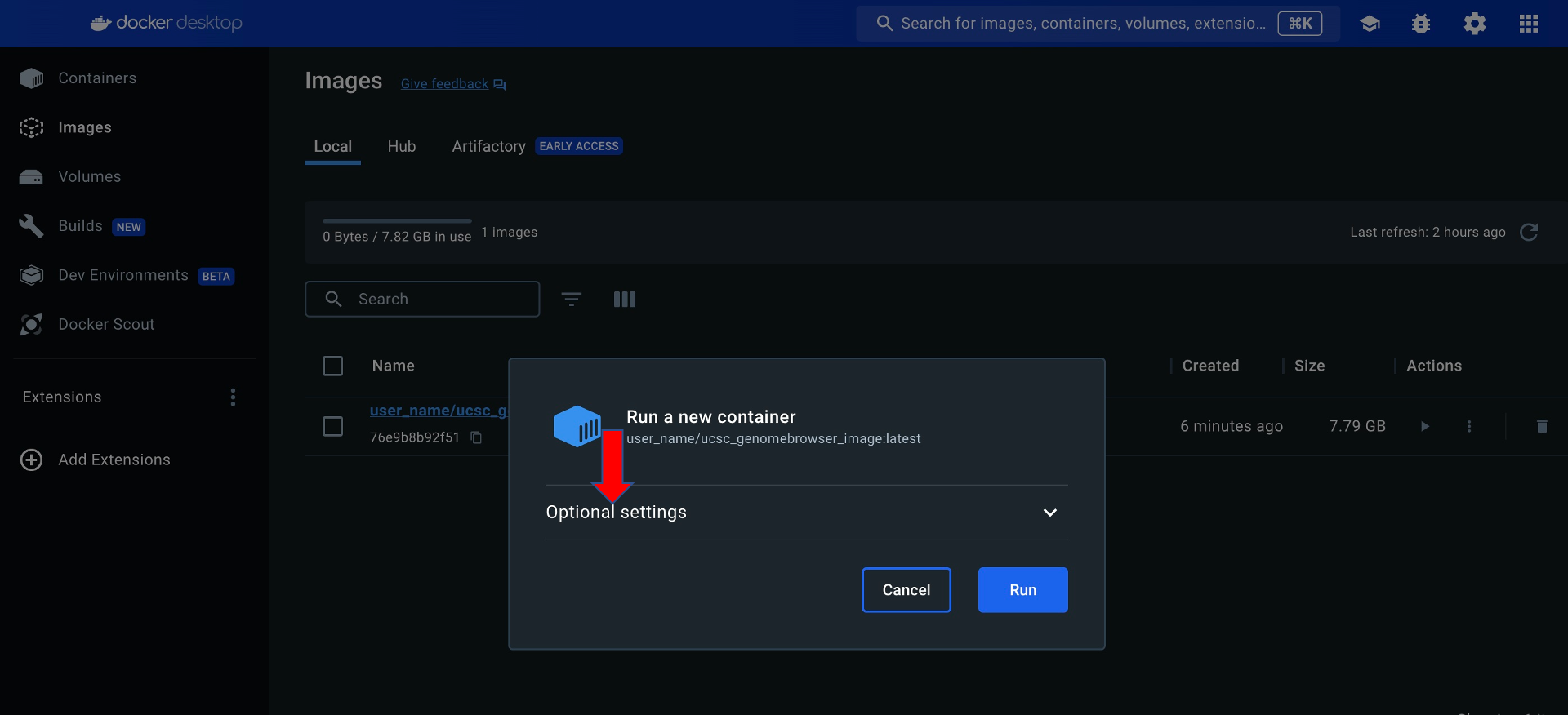 Docker run dialog with the Optional Settings section expanded
