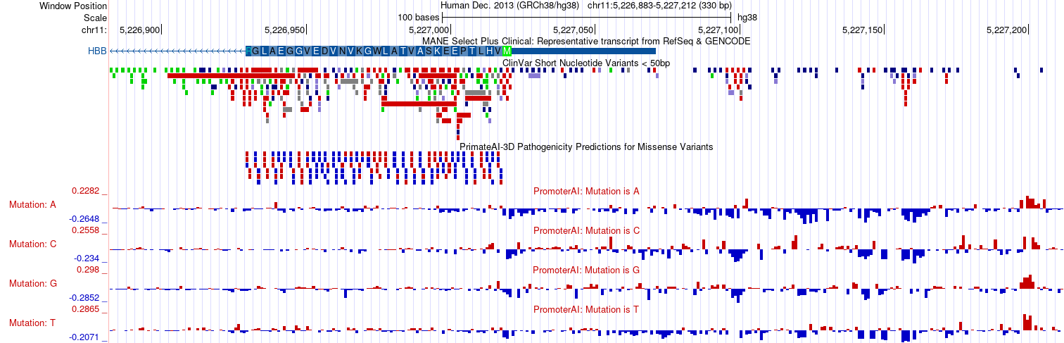 Genome Browser screenshot at the HBB locus on hg38 showing PrimateAI-3D
  pathogenicity calls across the coding region and PromoterAI per-allele scores
  in the 5' UTR and proximal promoter