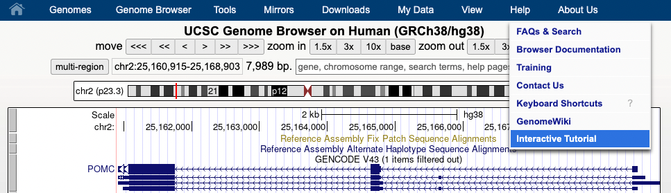 Thumbnail for the hgTracks Genome Browser navigation tutorial video